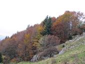 16 Colori autunnali